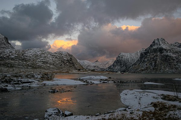 How can you discover the UK's unique wildlife on your trip?